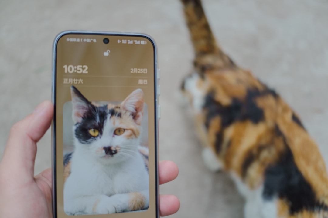 A cat stares at a phone with a cat picture.