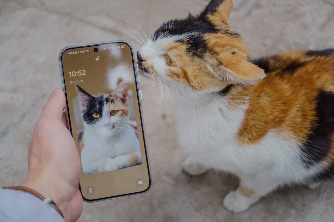 Cat kissing a phone displaying a cat's image.