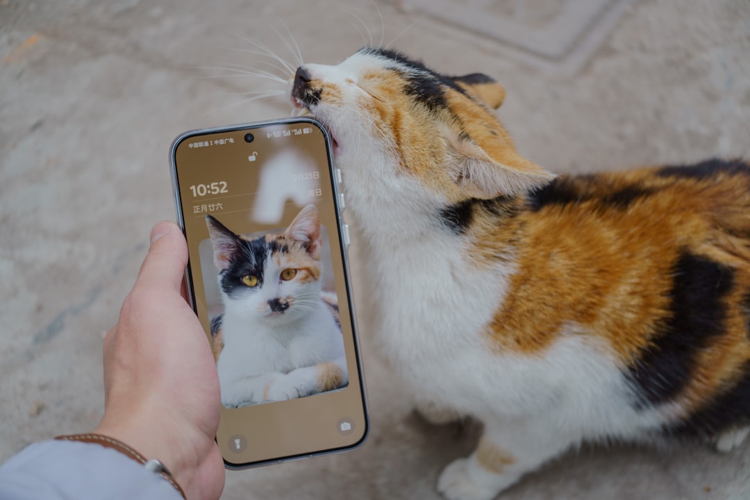 Cat compares itself to its phone wallpaper.